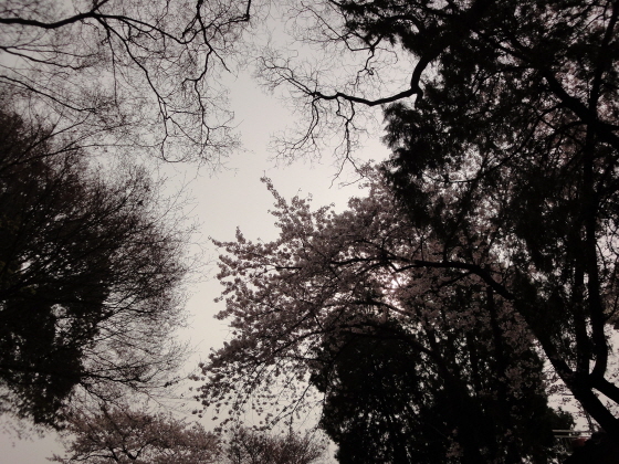[DSC-WX1] 013.jpg